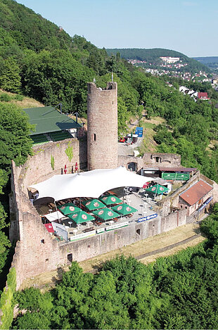 Luftbild der Burganlage